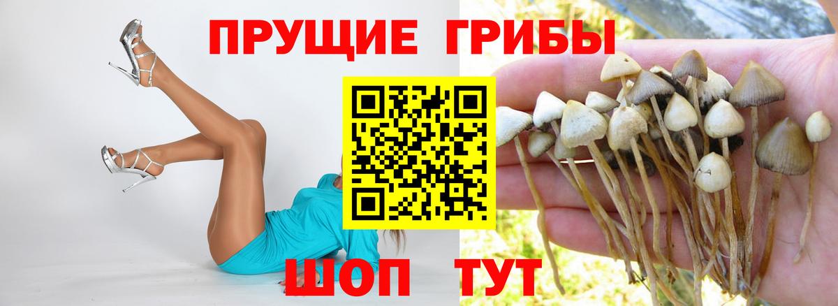 Галлюциногенные грибы Magic Shrooms Ртищево
